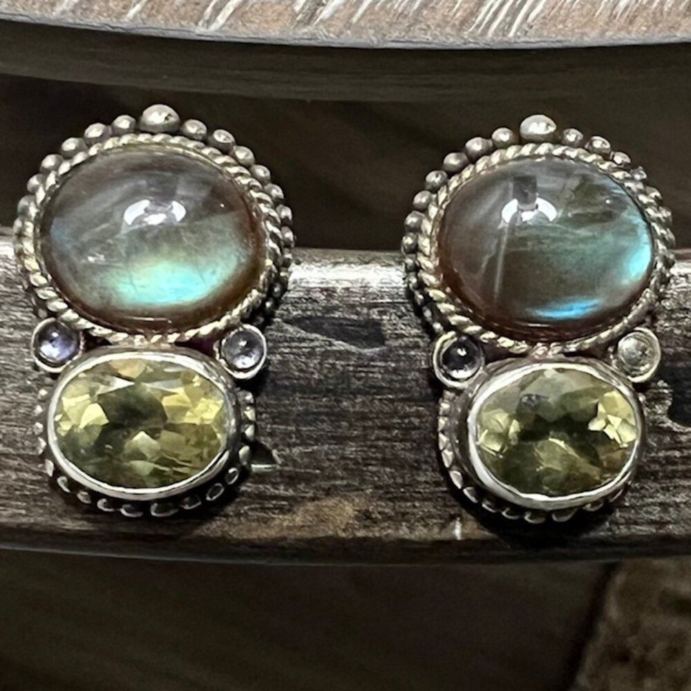 AUTHENTIC Stephen Dweck sterling silver earrings!